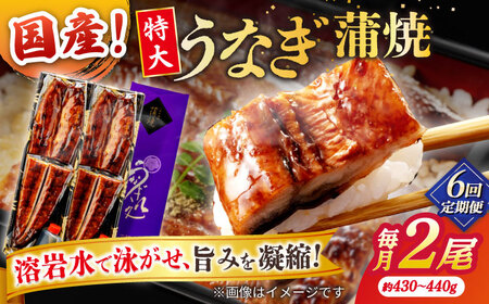 【6回定期便】うなぎ老舗専門店のパリっとふっくら国産うなぎ 蒲焼2尾(蒲焼のタレ付き) 島根県松江市/株式会社山美世商会[ALDC014]