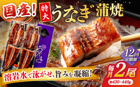 【12回定期便】うなぎ老舗専門店のパリっとふっくら国産うなぎ 蒲焼2尾(蒲焼のタレ付き) 島根県松江市/株式会社山美世商会[ALDC015]