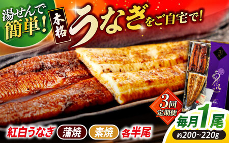 【3回定期便】うなぎ老舗専門店のパリっとふっくら 紅白うなぎ 蒲焼・素焼半身　(真空パック/秘伝のタレ・藻塩付き) 島根県松江市/株式会社山美世商会[ALDC016]