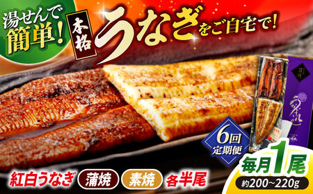 【6回定期便】うなぎ老舗専門店のパリっとふっくら 紅白うなぎ 蒲焼・素焼半身　(真空パック/秘伝のタレ・藻塩付き) 島根県松江市/株式会社山美世商会[ALDC017]