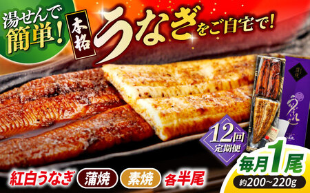【12回定期便】うなぎ老舗専門店のパリっとふっくら 紅白うなぎ 蒲焼・素焼半身　(真空パック/秘伝のタレ・藻塩付き) 島根県松江市/株式会社山美世商会[ALDC018]