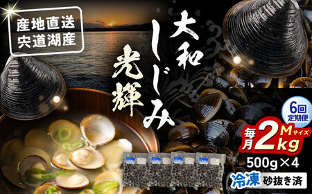 【全6回定期便】産地直送！宍道湖産 冷凍大和しじみMサイズ2kg(500g×4) 砂抜き処理済 島根県松江市/りすたむmatsue[ALDE008]