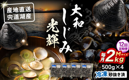 【全12回定期便】産地直送！宍道湖産 冷凍大和しじみMサイズ2kg(500g×4) 砂抜き処理済 島根県松江市/りすたむmatsue[ALDE009]