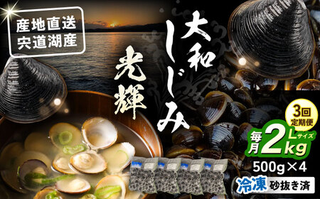 【全3回定期便】産地直送！ 宍道湖産 冷凍大和しじみLサイズ2kg(500g×4) 砂抜き処理済 島根県松江市/りすたむmatsue[ALDE010]