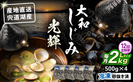 【全12回定期便】産地直送！ 宍道湖産 冷凍大和しじみLサイズ2kg(500g×4) 砂抜き処理済 島根県松江市/りすたむmatsue[ALDE012]