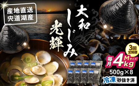【全3回定期便】産地直送！宍道湖産 冷凍大和しじみMサイズ4kg(500g×8) 砂抜き処理済 島根県松江市/りすたむmatsue[ALDE013]