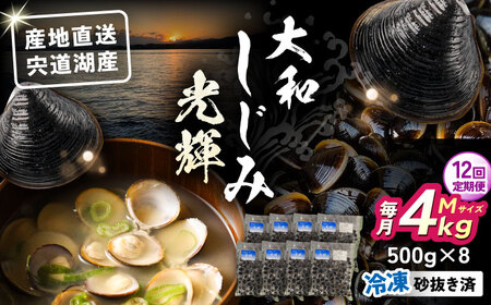【全12回定期便】産地直送！宍道湖産 冷凍大和しじみMサイズ4kg(500g×8) 砂抜き処理済 島根県松江市/りすたむmatsue[ALDE015]
