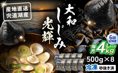 【全6回定期便】産地直送！宍道湖産 冷凍大和しじみLサイズ4kg(500g×8) 砂抜き処理済 島根県松江市/りすたむmatsue[ALDE017]