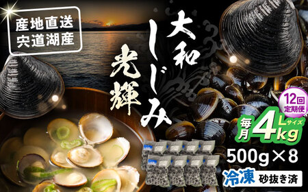 【全12回定期便】産地直送！宍道湖産 冷凍大和しじみLサイズ4kg(500g×8) 砂抜き処理済 島根県松江市/りすたむmatsue[ALDE018]