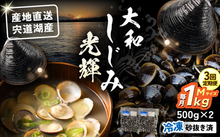 【全3回定期便】産地直送！宍道湖産 冷凍大和しじみMサイズ1kg(500g×2) 砂抜き処理済 島根県松江市/りすたむmatsue[ALDE019]