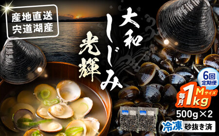 【全6回定期便】産地直送！宍道湖産 冷凍大和しじみMサイズ1kg(500g×2) 砂抜き処理済 島根県松江市/りすたむmatsue[ALDE020]