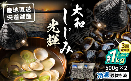 【全3回定期便】産地直送！宍道湖産 冷凍大和しじみLサイズ1kg(500g×2) 砂抜き処理済 島根県松江市/りすたむmatsue[ALDE022]