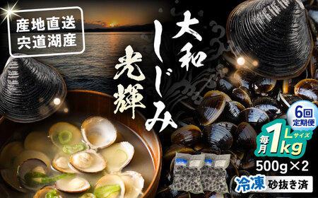 【全6回定期便】産地直送！宍道湖産 冷凍大和しじみLサイズ1kg(500g×2) 砂抜き処理済 島根県松江市/りすたむmatsue[ALDE023]