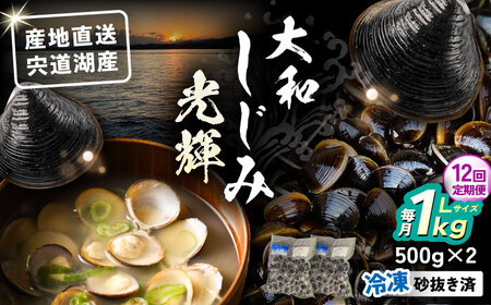 【全12回定期便】産地直送！宍道湖産 冷凍大和しじみLサイズ1kg(500g×2) 砂抜き処理済 島根県松江市/りすたむmatsue[ALDE024]