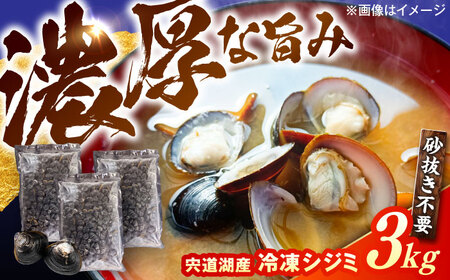 濃厚な旨み！宍道湖産冷凍シジミ3kg　島根県松江市/株式会社山光食品[ALHZ003]