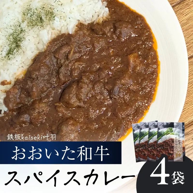 おおいた和牛 スパイスカレー 4袋 K03039