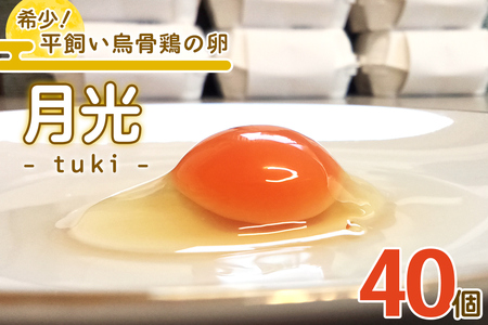 希少！平飼い烏骨鶏の卵「月光《tuki》」40個 [0802]