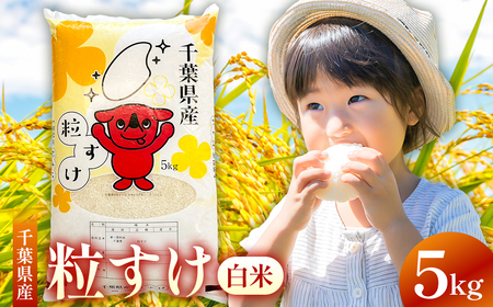 【2025年度産】千葉県産粒すけ 白米 5kg mi0068-0006