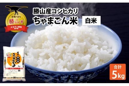 勝山産コシヒカリ ちゃまごん米 精米 5kg [A-010004]