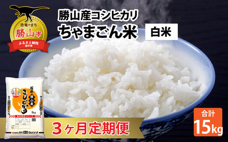 【定期便3ヶ月連続】勝山のお米コシヒカリ 精米 5kg（計 15kg） [E-010034]