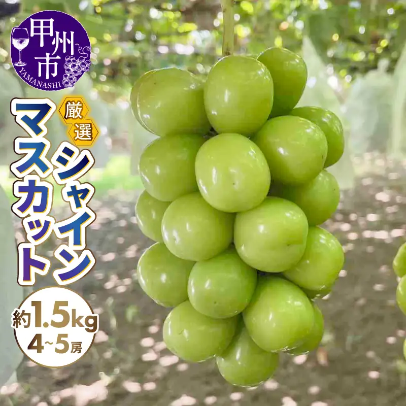 厳選シャインマスカット 約1.5kg（4～5房）【2026年発送】（SFN）B15-1011 シャインマスカット フルーツ