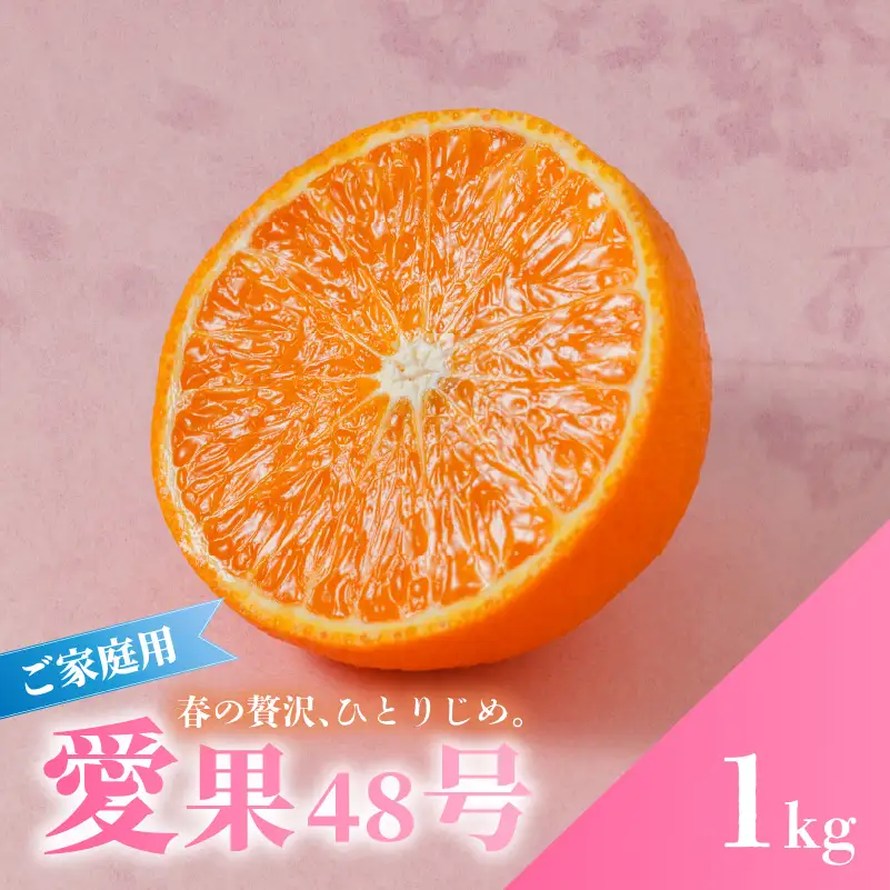愛果48号 家庭用 お試し1kg(4～5玉) 【2027年3月上旬頃から順次発送】 | あいか 新品種 紅まどんな × 甘平 紅プリンセス と同品種 みかん ワケアリ 訳あり B品 柑橘 果物 おすすめ 高級 人気 お取り寄せ グルメ ギフト 期間 ご当地 愛媛県 松山市 蓮果園 【RNK025】