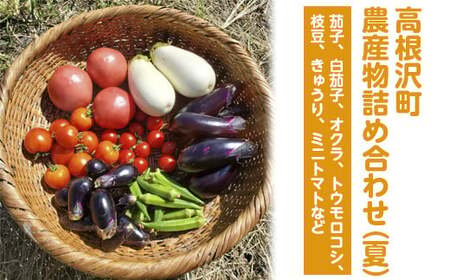 高根沢町農産物詰め合わせ（夏）※2026年6月上旬～8月下旬頃に順次発送予定　※北海道・沖縄・離島への配送不可