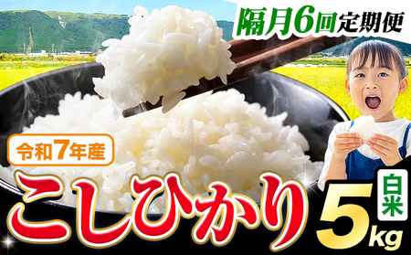 【隔月6回 定期便】白米 こしひかり 5kg