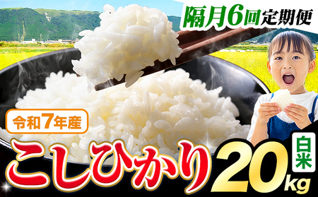 【隔月6回 定期便】白米 こしひかり 20kg