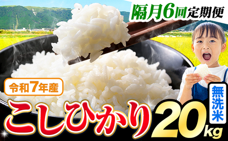 【隔月6回定期便】無洗米 こしひかり 20kg