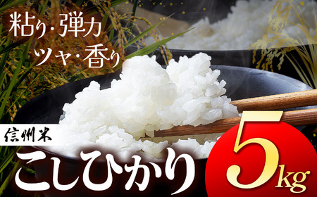 上高地清流米 こしひかり 松本産 白米 5kg 長野県産
