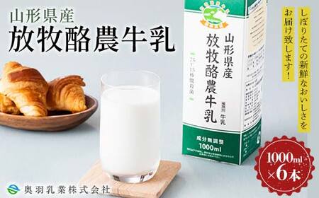 【奥羽乳業】山形県産 放牧酪農牛乳 1000ml×6本 セット F2Y-6543