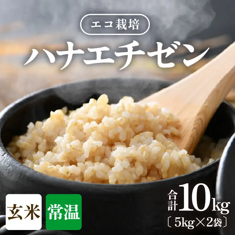 【先行予約】【令和8年産 新米】 エコ栽培ハナエチゼン 玄米10kg （5kg×2袋） ／ 鮮度抜群 福井県産 はなえちぜん ご飯 新鮮 玄米 ※2026年9月上旬以降順次発送予定 [aw063-b013]