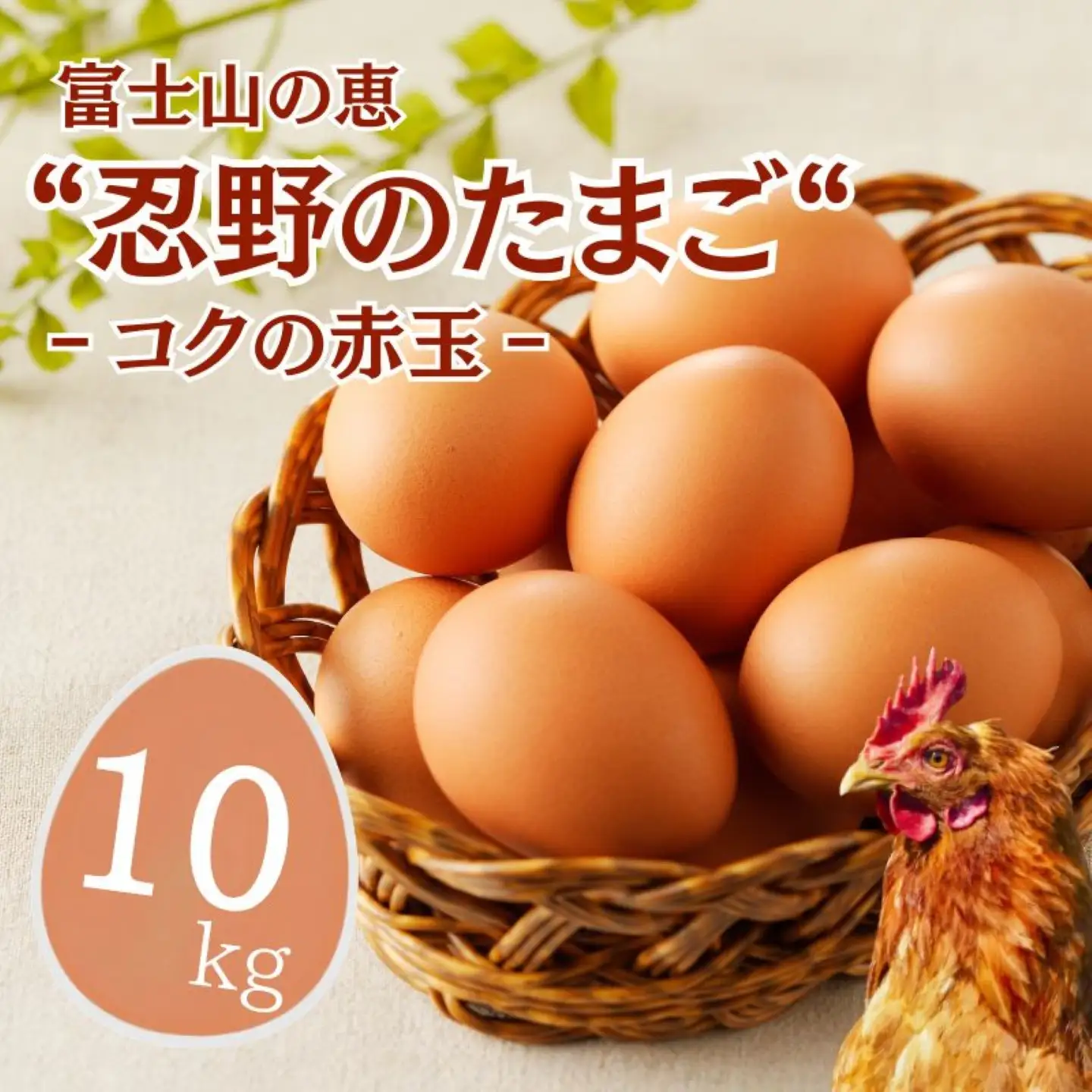 【忍野のたまご】コクの赤玉【10㎏】