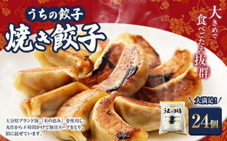 051-1167x1 うちの餃子 焼き餃子 2袋セット 合計24個 餃子のタレ付き 餃子 ぎょうざ ギョウザ  冷凍 おかず おつまみ 国産 豚肉 中華