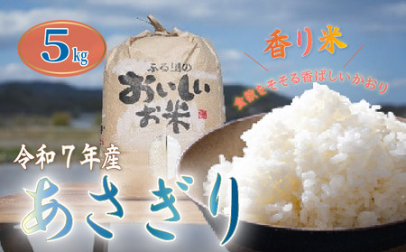 【 令和7年産 】 白米 5kg あさぎり 米 5キロ 香り米 精米 国産米 香米 おこめ アサギリ 空海ゆかりの里 うまにの おいしい お米 ふるさと納税米 ふるさと納税お米 2025年産 数量限定 高知 黒潮町 [1699]