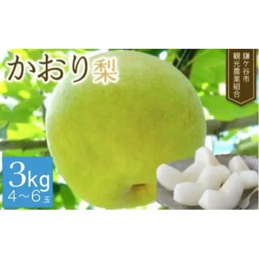 ※先行予約※【かおり3kg】かまがや育ちの完熟梨（観光組合）
