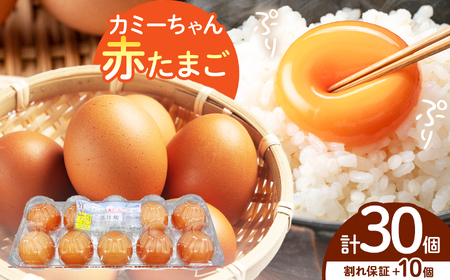 JA上伊那　カミーちゃん赤たまご　20個＋割れ保障10個付き（MSサイズ）｜卵 赤卵 20個 JA上伊那 伊那市 長野県 信州 ふるさと納税【008-24】