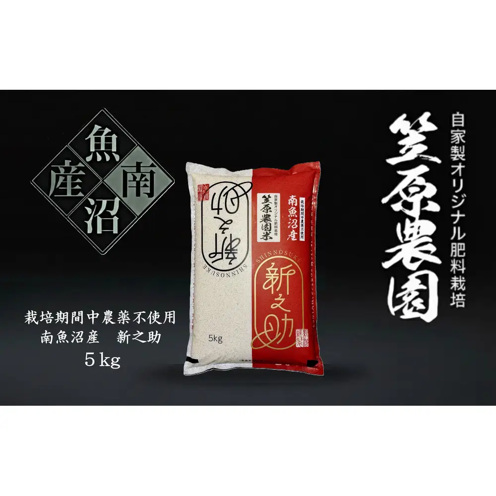 【令和７年産】南魚沼産 笠原農園米 栽培期間中農薬不使用 新之助 5kg 【銘柄米 ブランド米 精米 新之助 魚沼産 南魚沼産 プレミアム 新潟米 新潟県産 高評価 高品質 高級 国産米 産直 ご飯 御飯 ごはん 厳選】