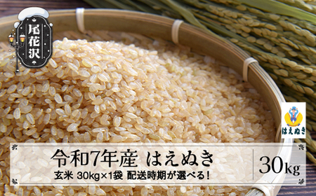 令和7年産 玄米 はえぬき 30kg ko-hagxa30