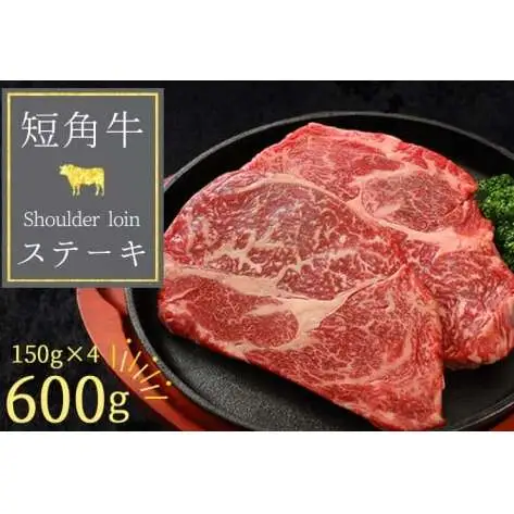 いわて短角和牛 ステーキ 600g(DV065) ロースステーキ