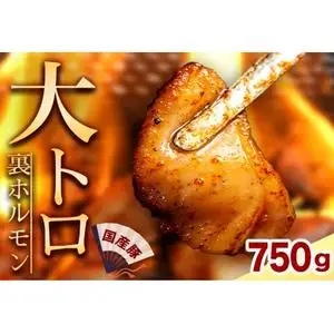 国産豚ホルモン 大トロ キクアブラ 750g (150g×5)（DV067）
