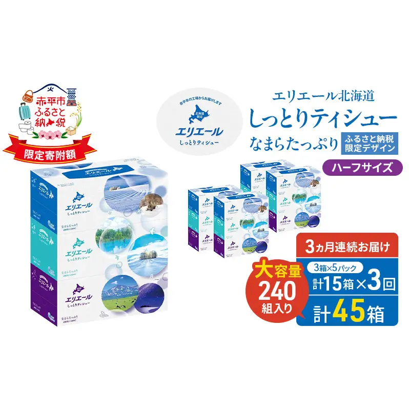 定期便 3ヵ月連続お届け エリエール ハーフサイズ 収納に便利 コンパクト 【少量5パック】 北海道 しっとりティシュー なまらたっぷり 240組3箱 5パック 計15箱 ボックスティシュー ふるさと納税限定デザイン