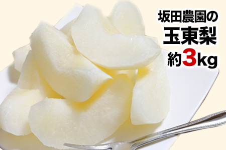 『坂田農園』の玉東梨 期間限定 予約受付中 約3kg《8月中旬-9月末頃出荷》 熊本県玉名郡玉東町産『坂田農園』｜ブランド梨 人気梨 特産品梨 熊本県梨 玉東町梨 大人気返礼品