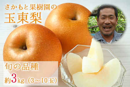 梨 さかもと果樹園 約3kg 3玉-10玉前後 期間限定 玉東梨