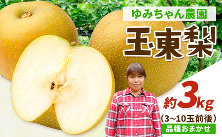 ゆみちゃん農園の玉東梨 約3kg(3～10玉前後)《2026年8月下旬-10月上旬頃出荷》 熊本県玉名郡玉東町 ｜ブランド梨 人気梨 特産品梨 熊本県梨 玉東町梨 大人気返礼品