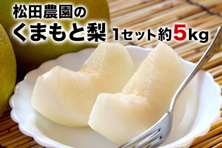 【先行予約】『松田農園』のくまもと梨 期間限定 たっぷり約5kg 8-18玉前後《7月下旬-9月末頃出荷》 予約受付中 熊本県玉名郡玉東町『松田農園』｜ブランド梨 人気梨 特産品梨 熊本県梨 玉東町梨 大人気返礼品