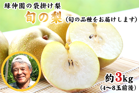 『緑伸園』旬の梨 たっぷり約3kg (旬の品種をお届けします！) 4-8玉前後入り《8月中旬-9月下旬頃出荷》 期間限定 予約受付中熊本県玉名郡玉東町産　｜ブランド梨 人気梨 特産品梨 熊本県梨 玉東町梨 大人気返礼品