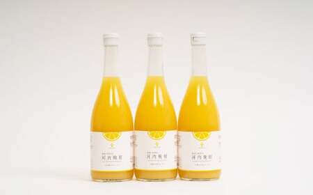 無添加 果汁100％ 河内晩柑ジュース 720ml×3本入 晩柑 柑橘 みかん 蜜柑 ミカン 飲料 ジュース 100％ 愛媛みかん 愛媛県産 【2026年5月上旬～12月上旬まで発送予定】【えひめの町（超）推し！（愛南町）】（576-1）