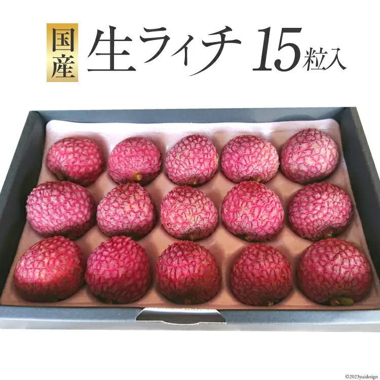 【期間限定発送】 生ライチ 15粒入り 国産 ライチ [452060925]